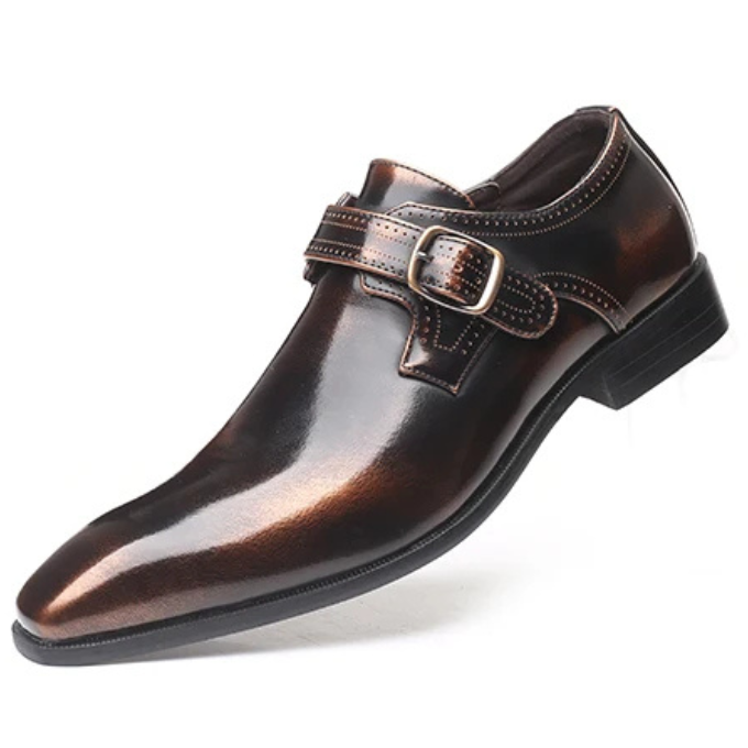 The Solaris Leather Shoes